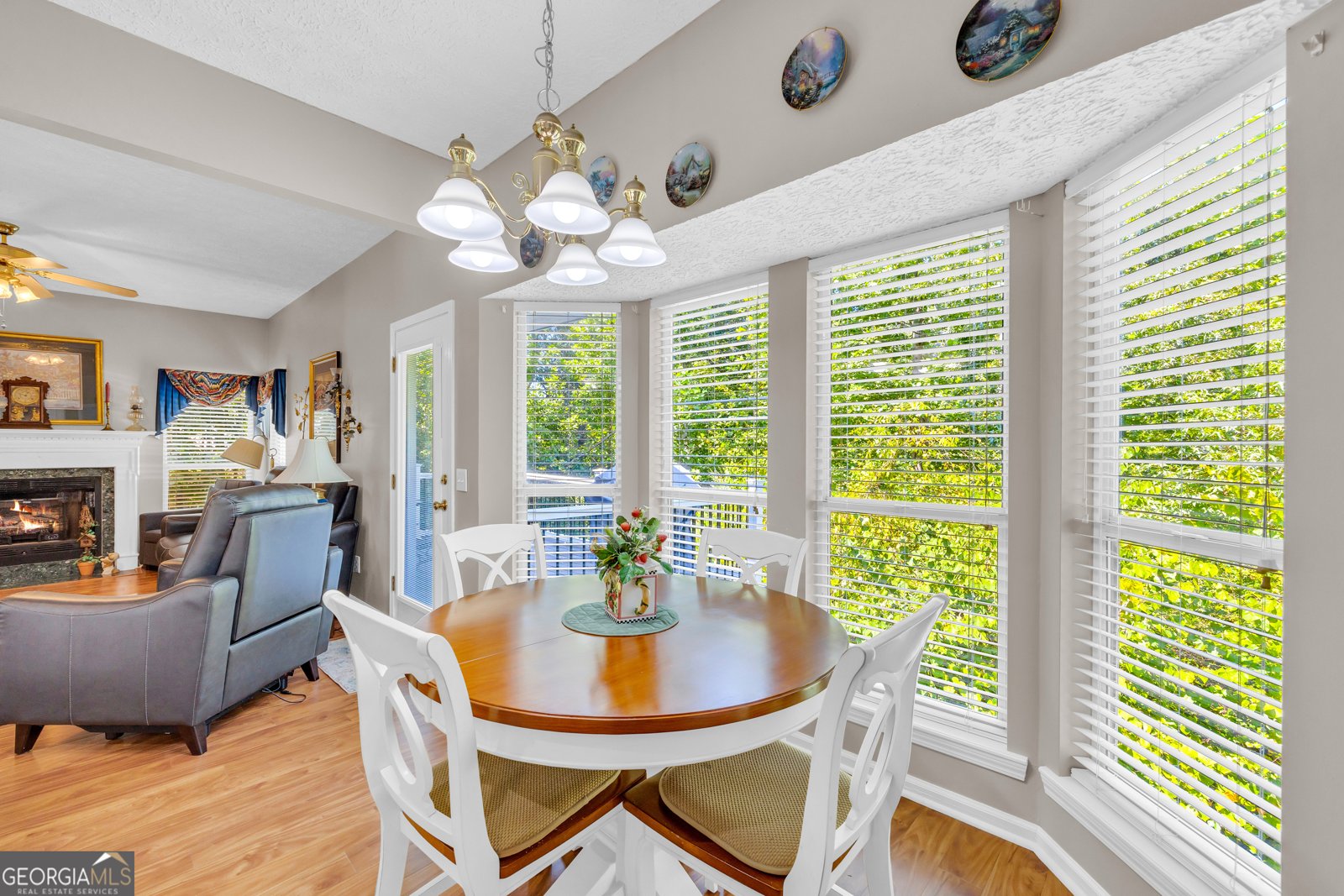 20 Shenandoah Drive Toccoa - 35
