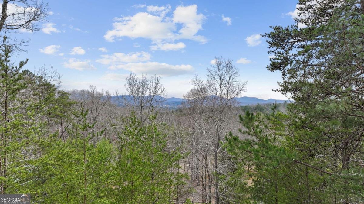 21 Trails End Lane Morganton - 7