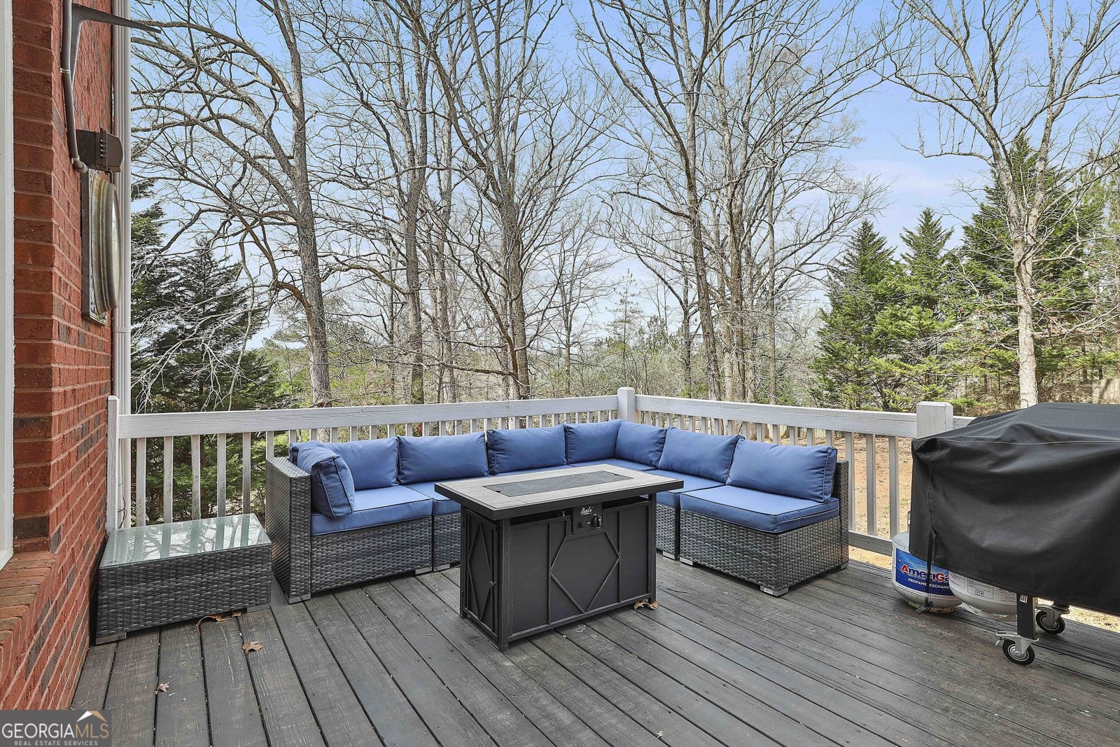 1133 Astoria Lane Peachtree City - 62