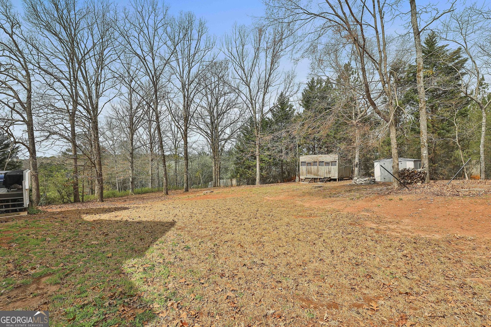 1133 Astoria Lane Peachtree City - 64