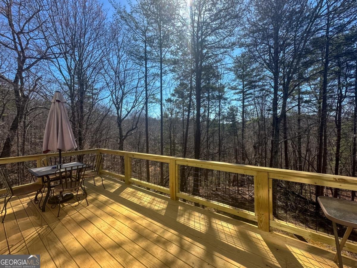 233 Hillstream Drive Dahlonega - 11
