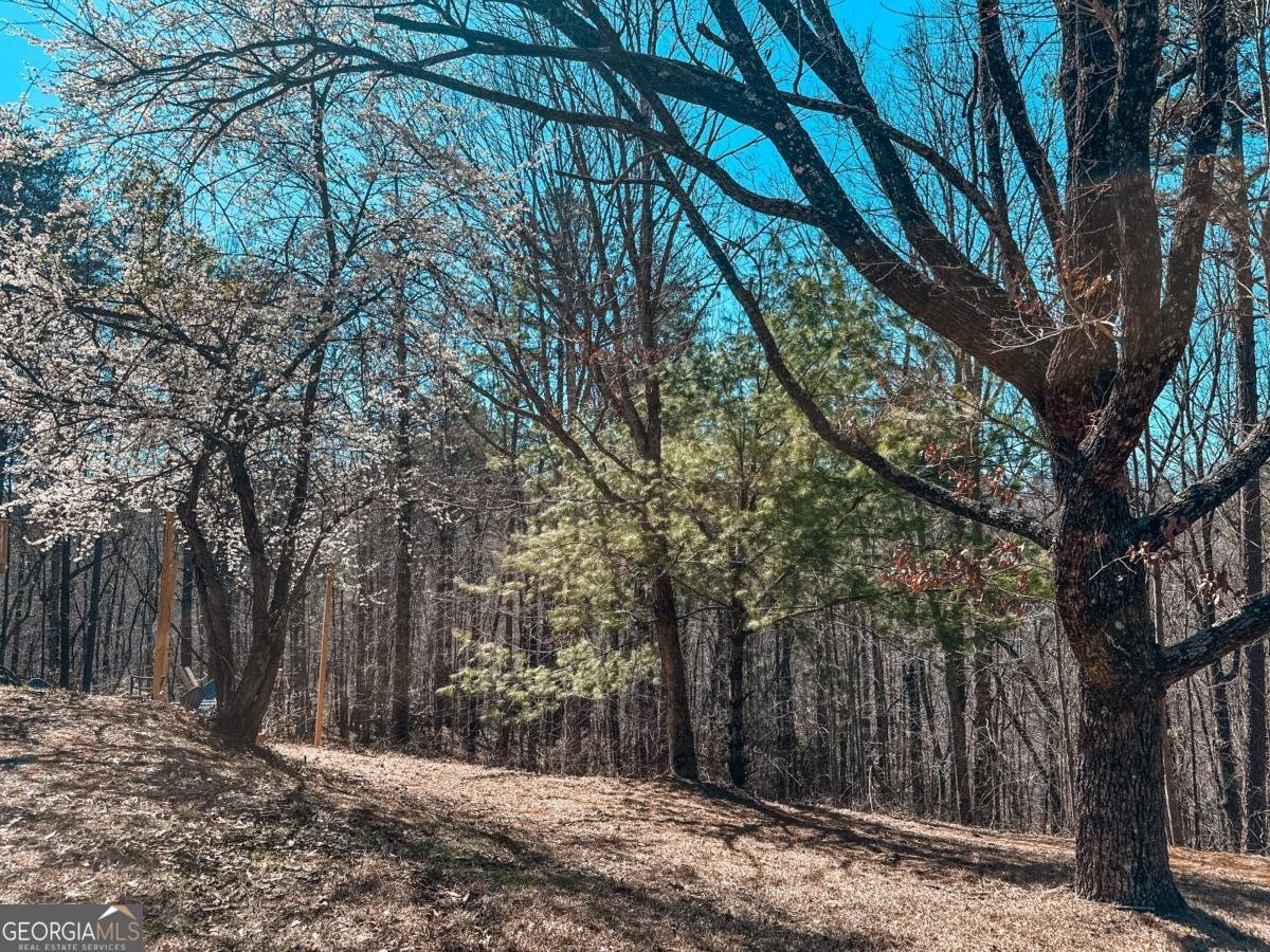 233 Hillstream Drive Dahlonega - 14