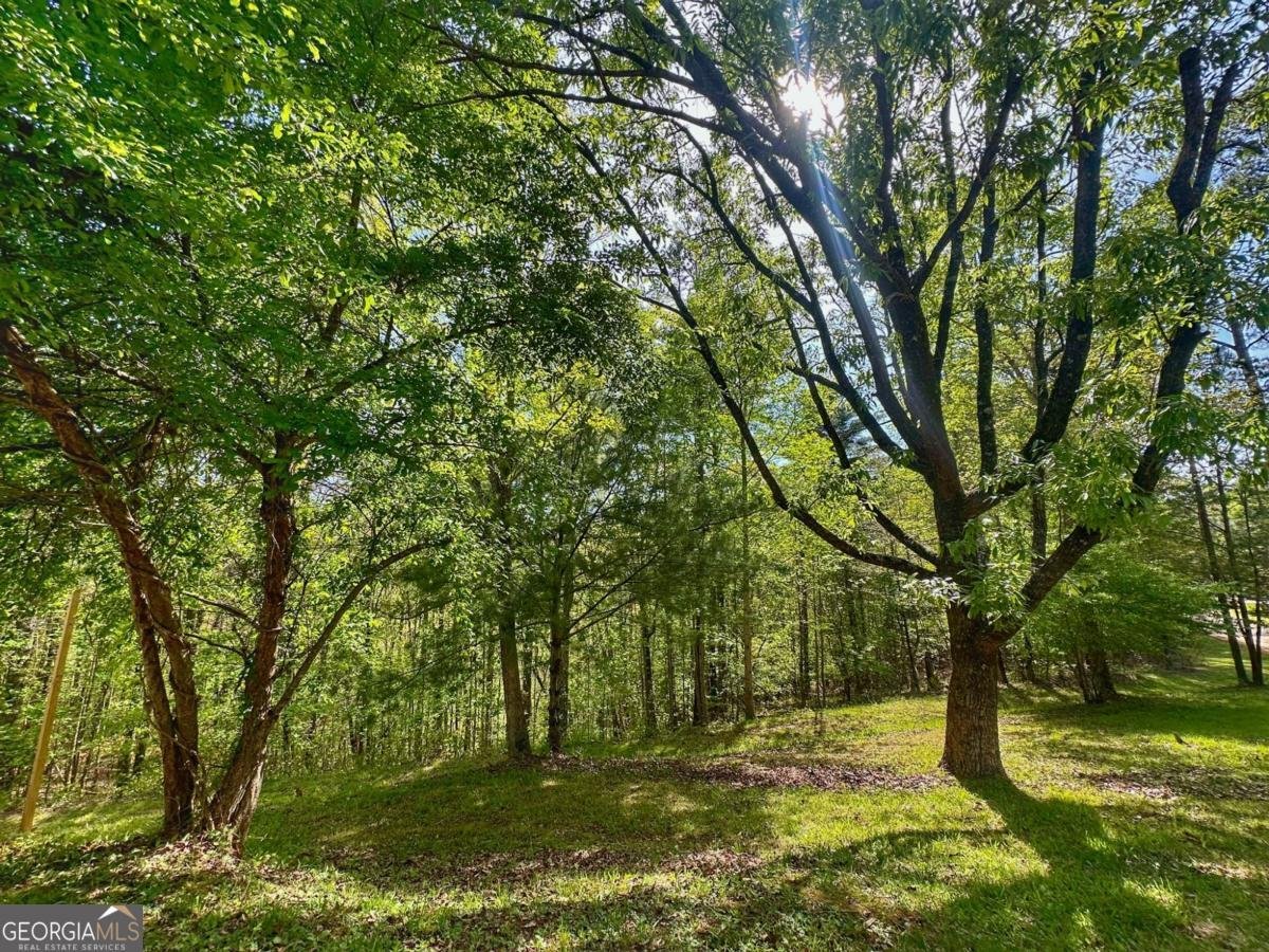 233 Hillstream Drive Dahlonega - 47