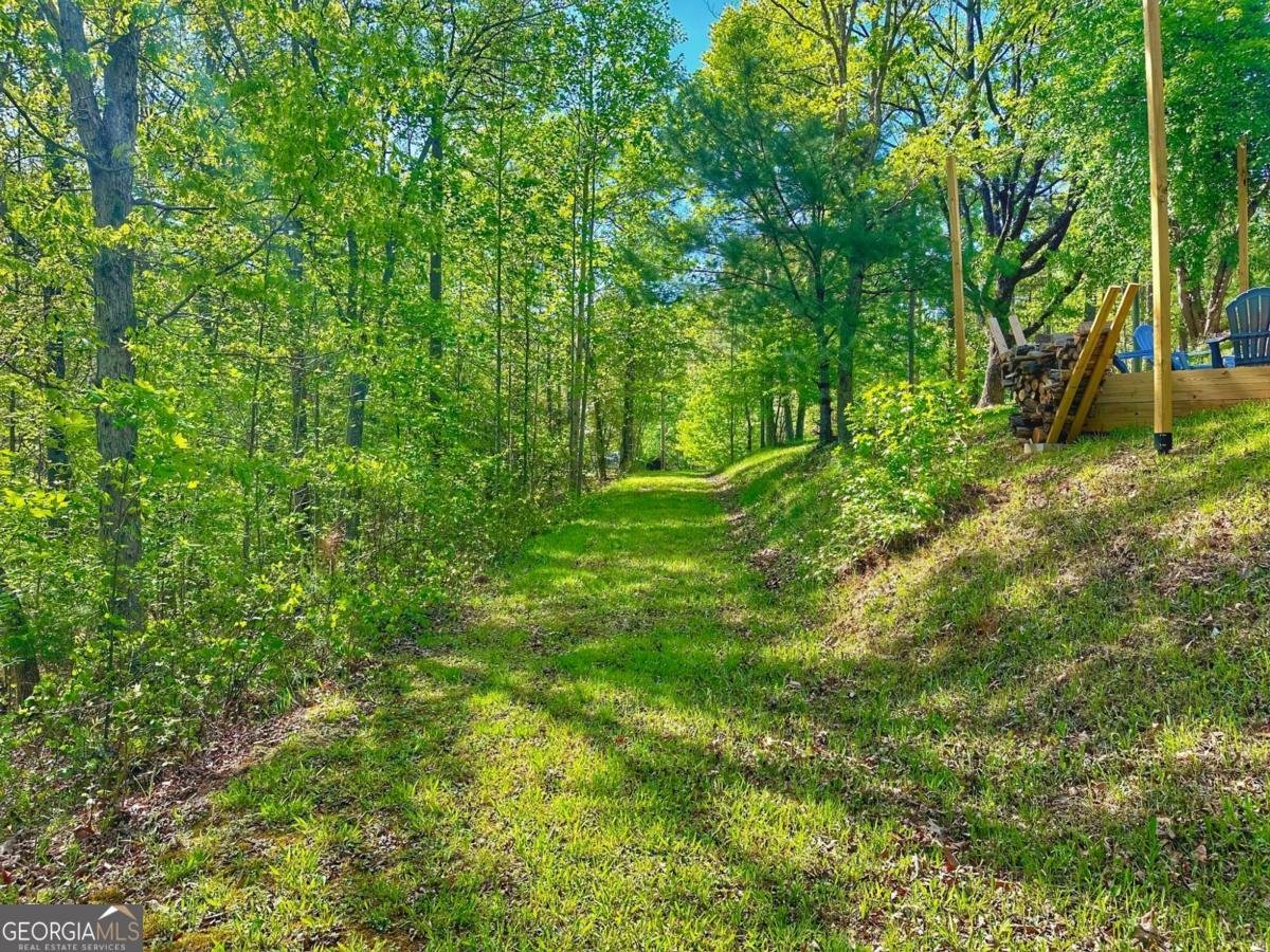 233 Hillstream Drive Dahlonega - 48