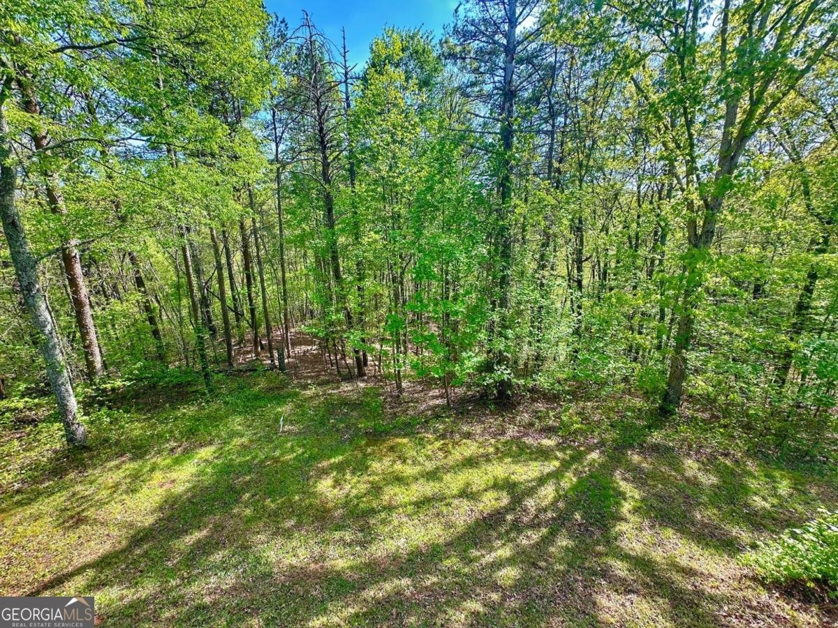 233 Hillstream Drive Dahlonega - 49