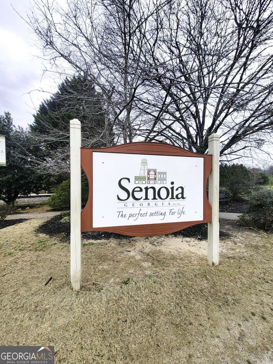 230 Southridge Senoia - 47