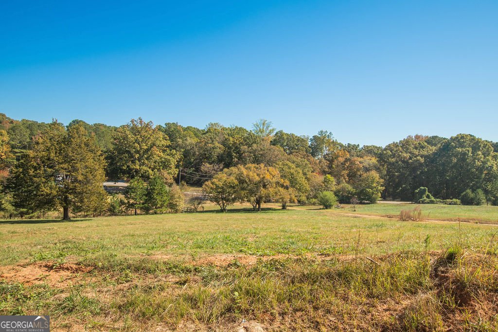 774 Forrester Cemetery Road Covington - 116