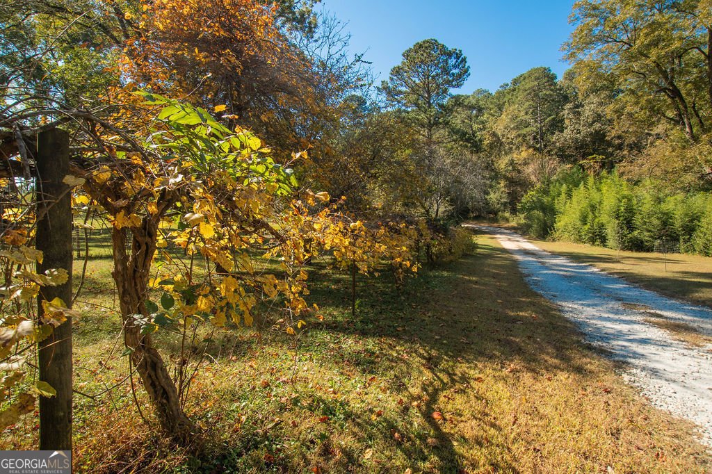 774 Forrester Cemetery Road Covington - 56