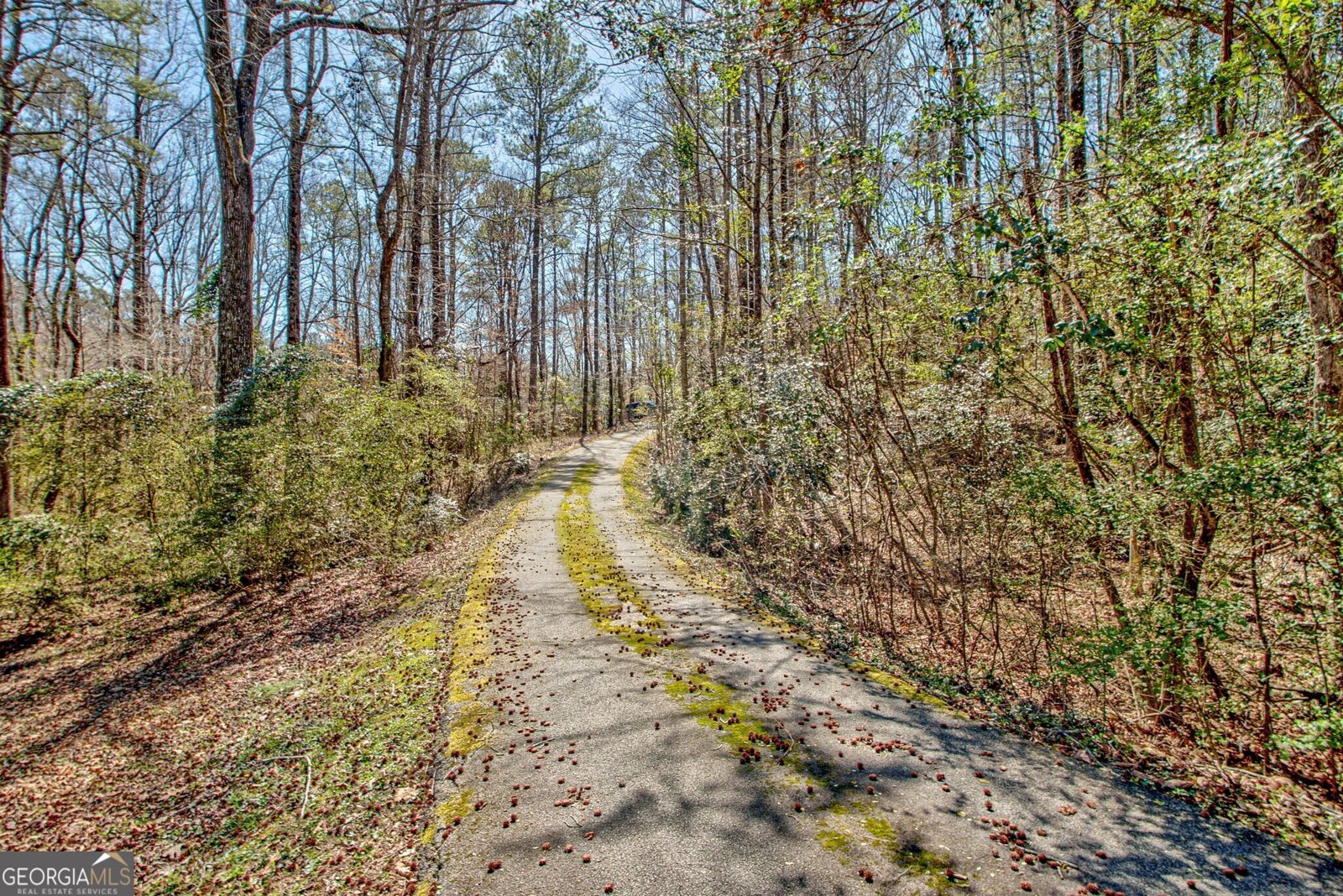 150 Gill Lane Stockbridge - 5