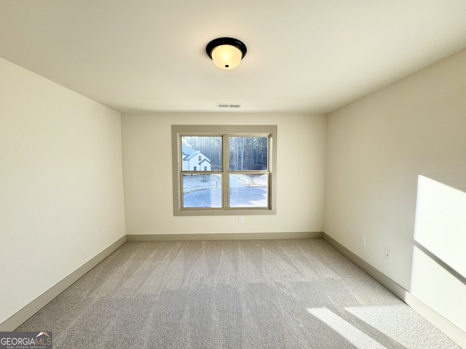254 Lotus Lane Covington - 13