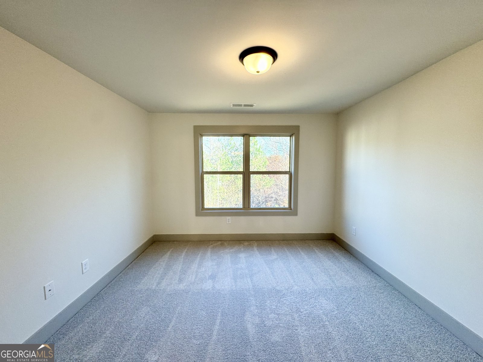 254 Lotus Lane Covington - 29