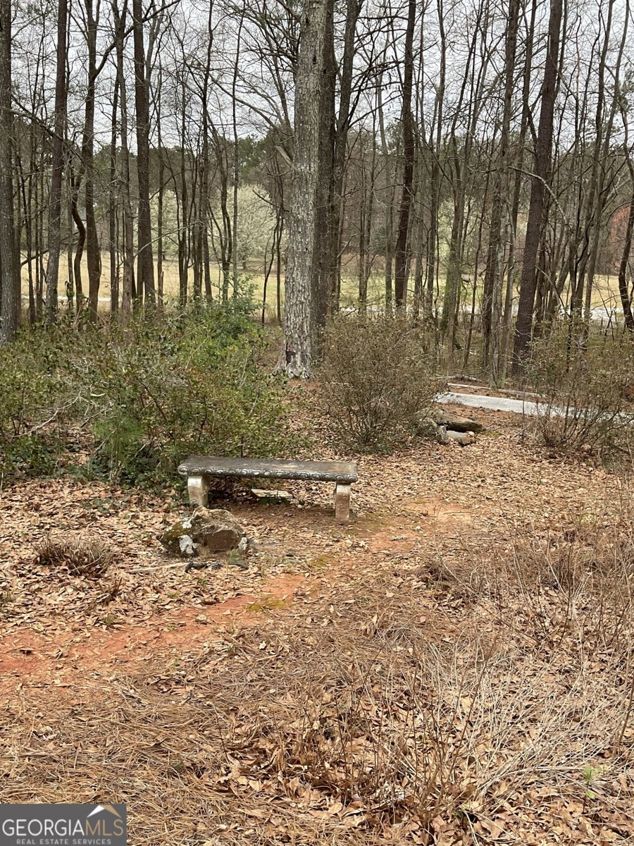 4424 Lower Fayetteville Road Sharpsburg - 32