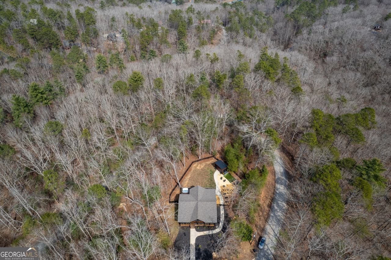 398 Alcan Way Ellijay - 36
