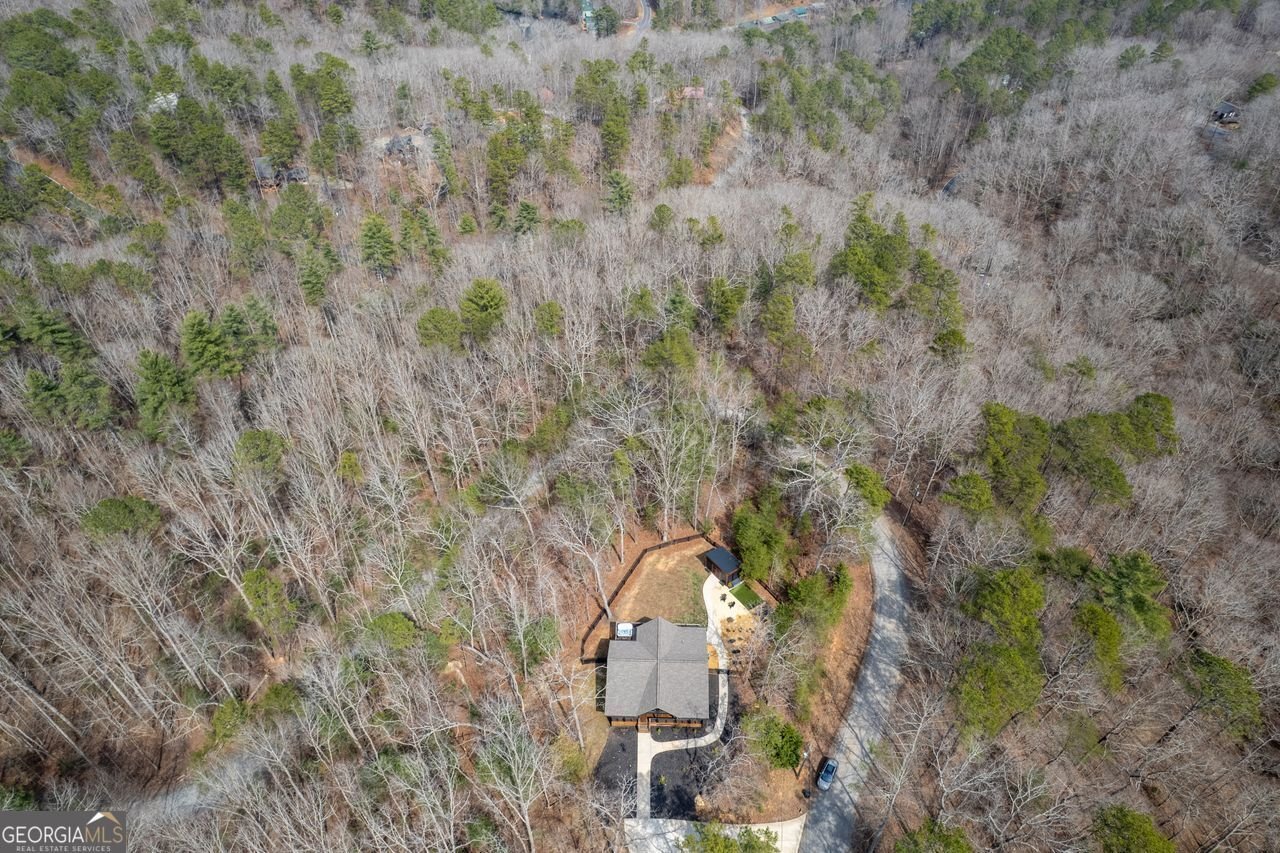 398 Alcan Way Ellijay - 37