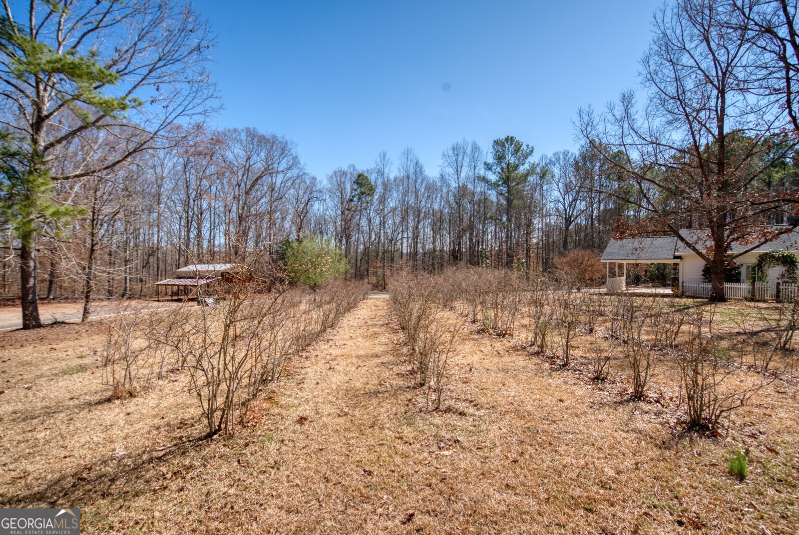 1650 Pierce Dairy Road Madison - 78