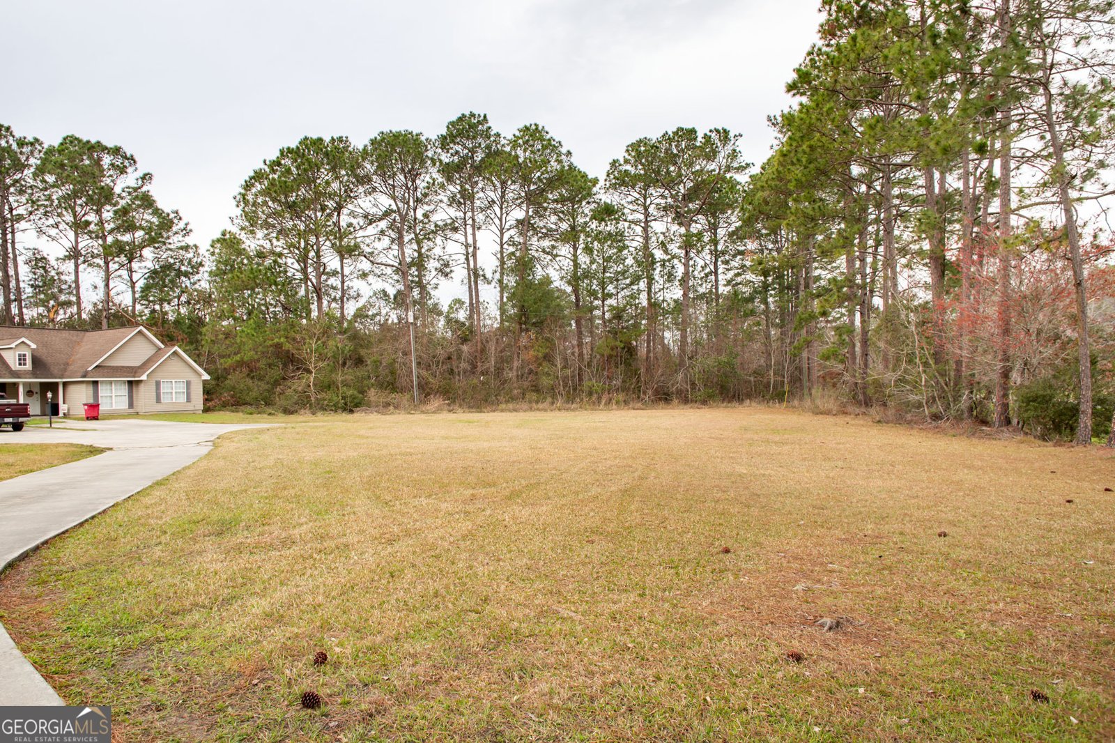 6905 Hacklebarney Road Blackshear - 8