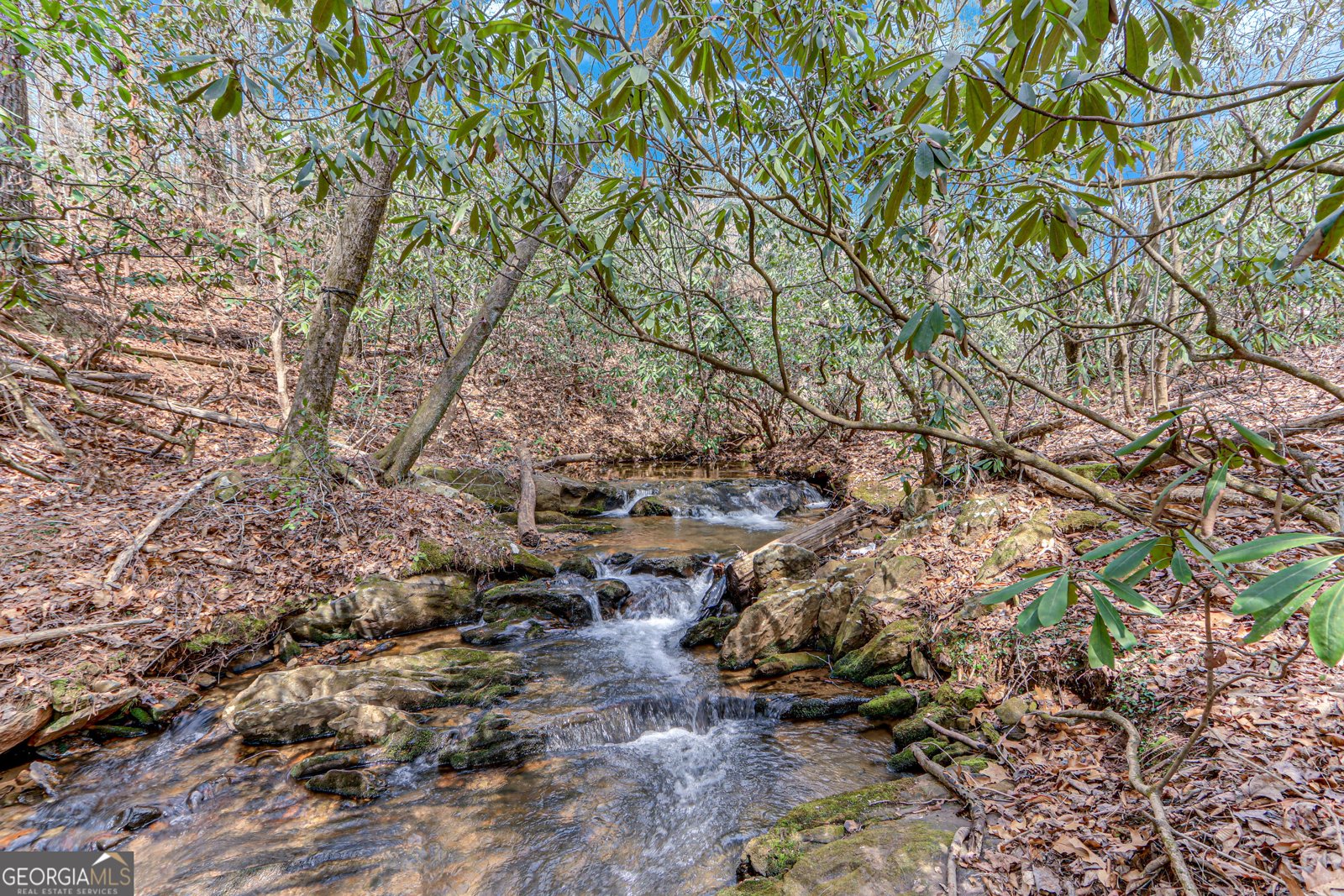257 Foothills Drive Cleveland - 2