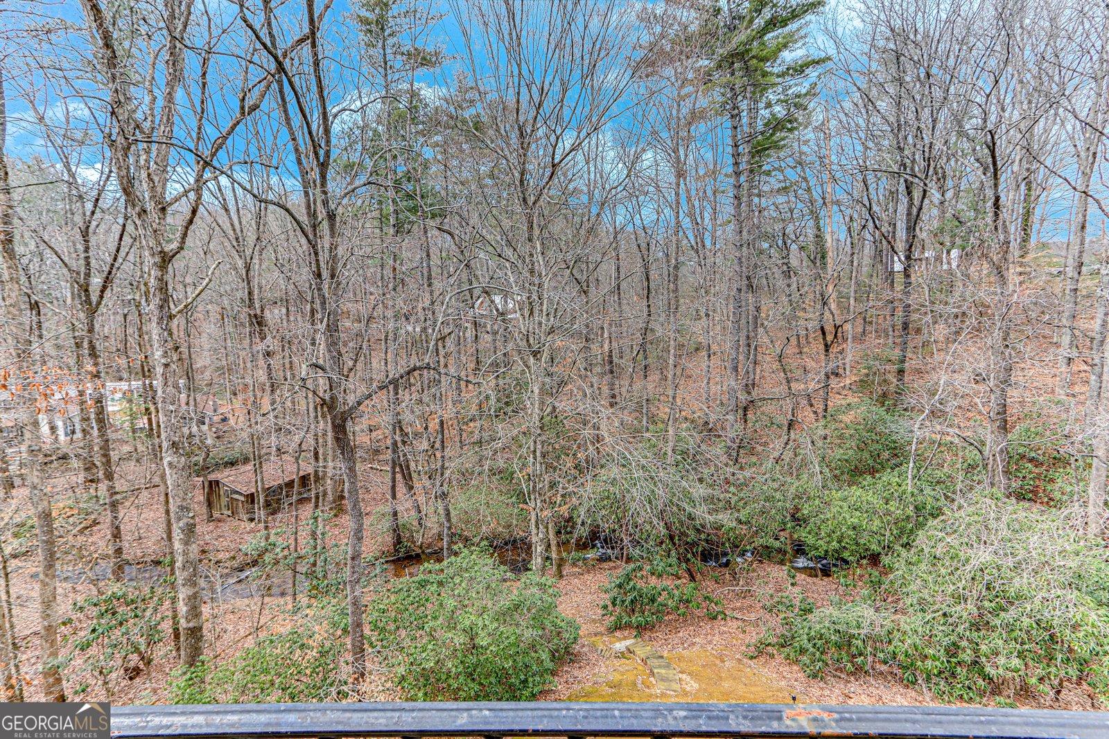 257 Foothills Drive Cleveland - 33