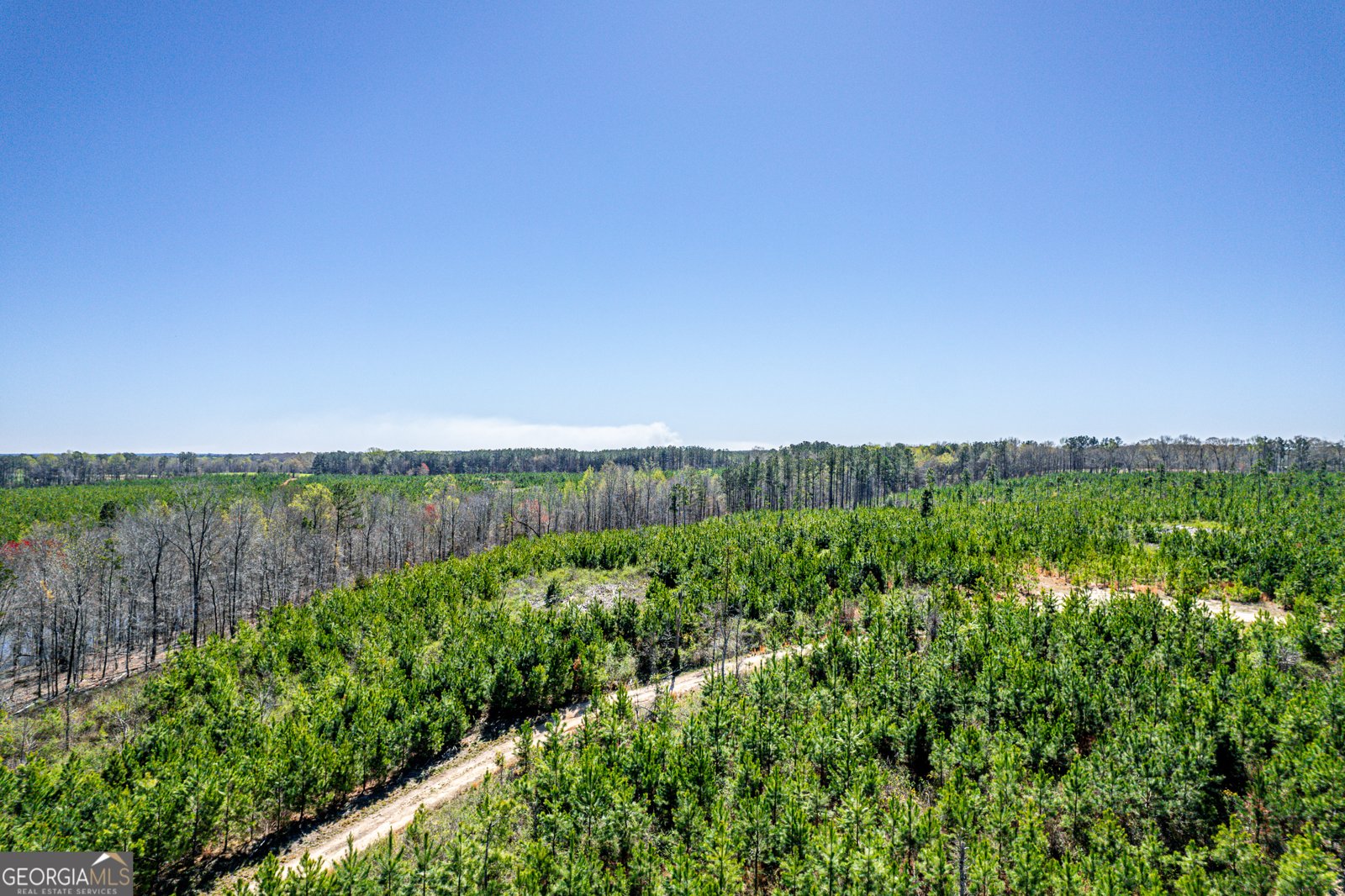 1766 Crawfordville Road White Plains - 76