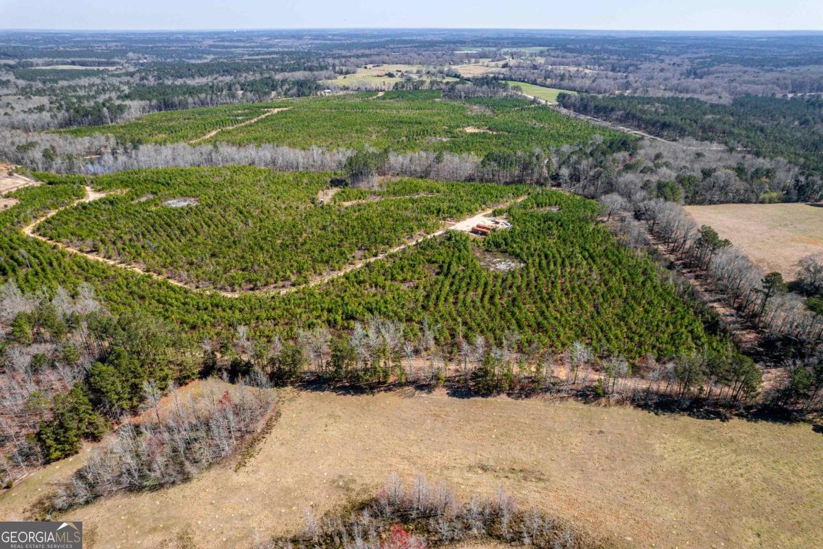1766 Crawfordville Road White Plains - 62