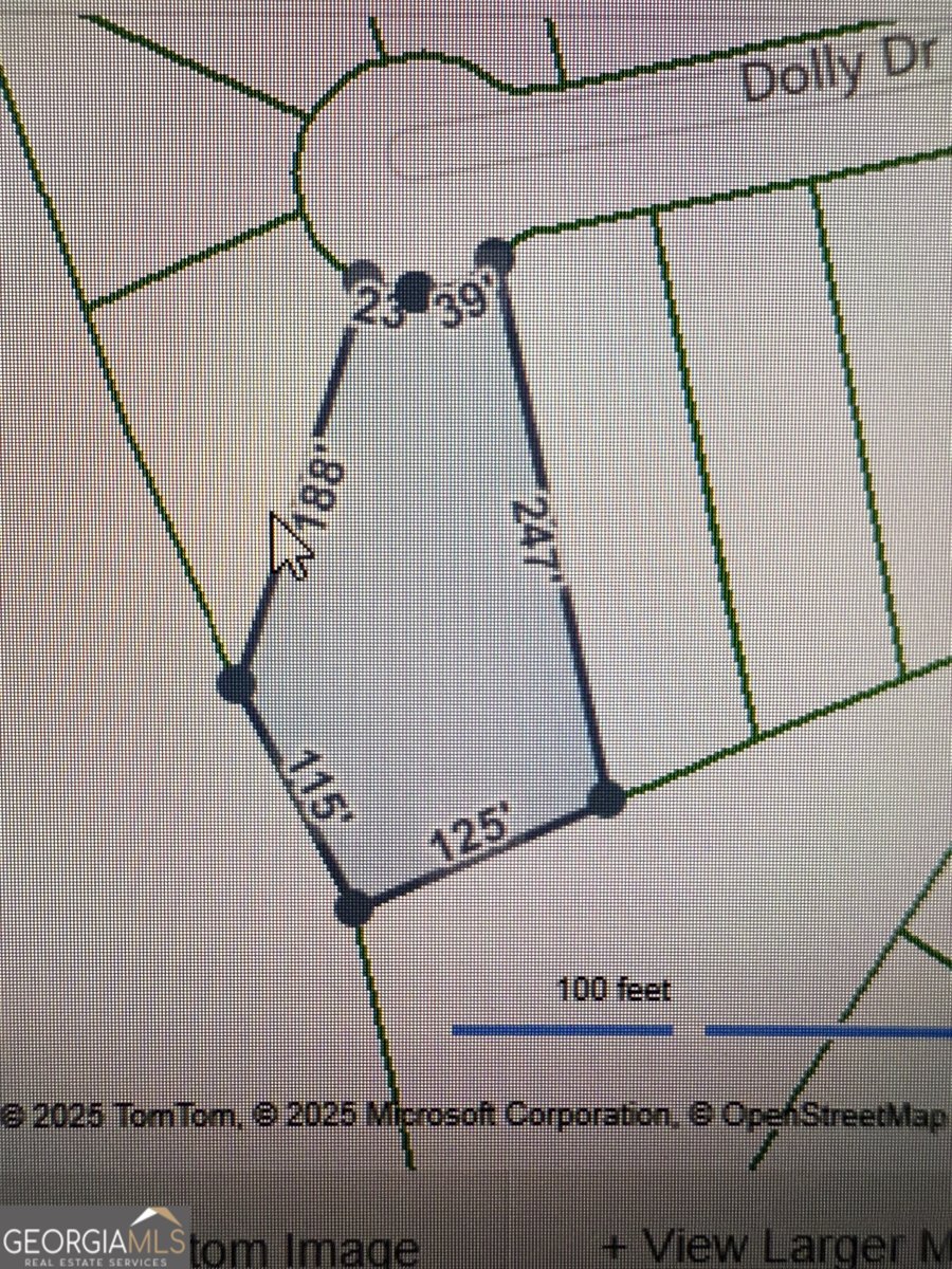 656 Dolly Drive Forsyth - 22