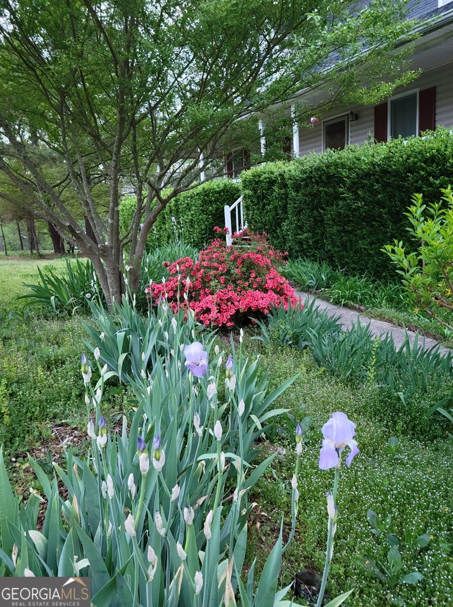 345 Lambeth Drive Hiram - 33