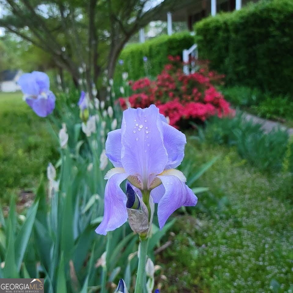 345 Lambeth Drive Hiram - 34