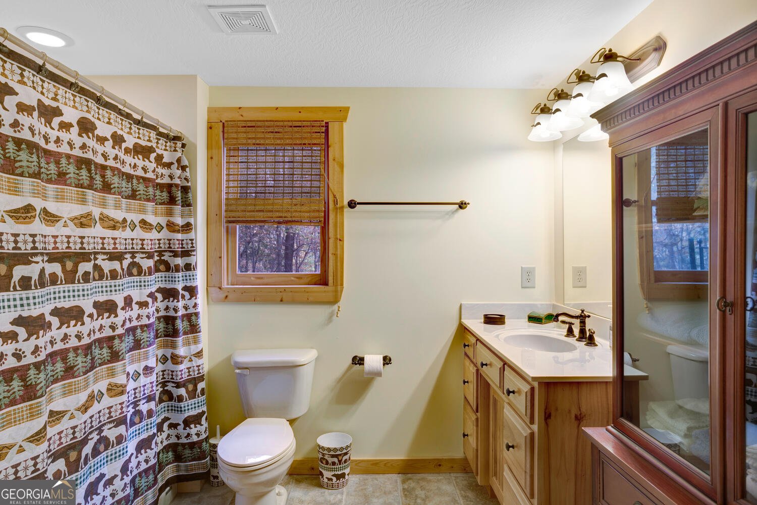 58 Morley Drive Ellijay - 39