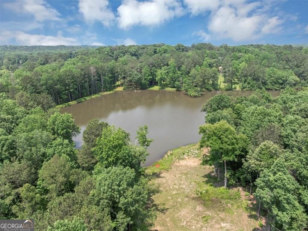4233 SANDSTONE SHORES Drive Stonecrest - 66