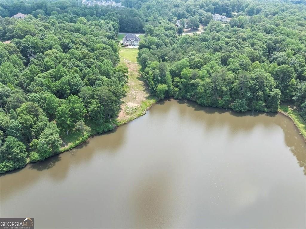 4233 SANDSTONE SHORES Drive Stonecrest - 69