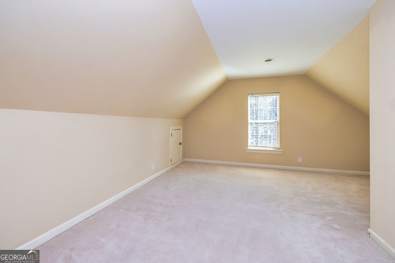418 Abbey Springs Way Mcdonough - 17
