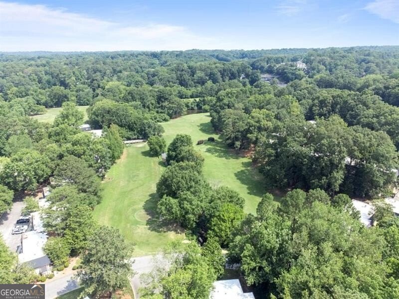 117 Lablanc Way Atlanta - 13