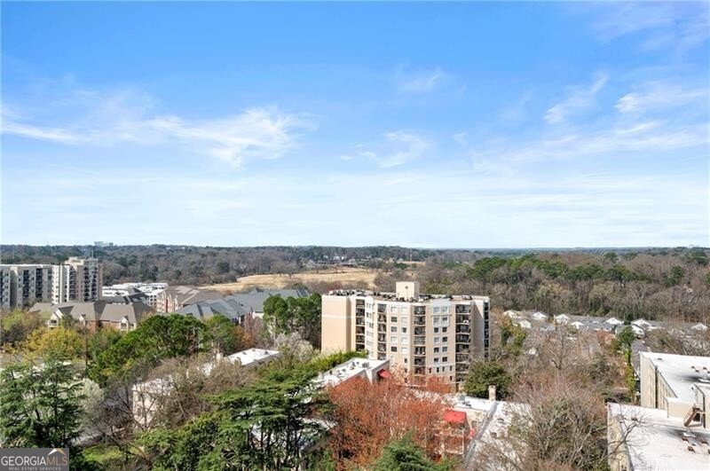 2233 Peachtree Road Atlanta - 27