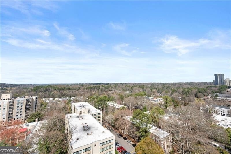 2233 Peachtree Road Atlanta - 28