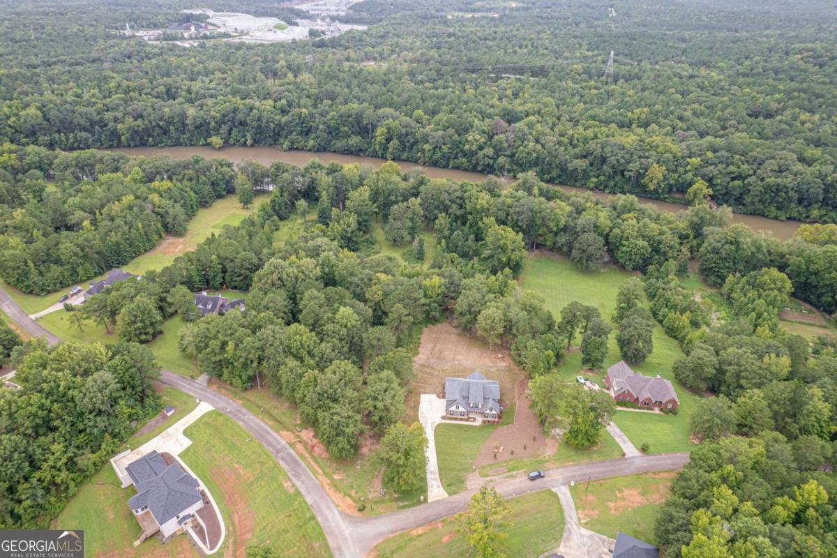 303 Tumbling Shoals Court Gray - 71