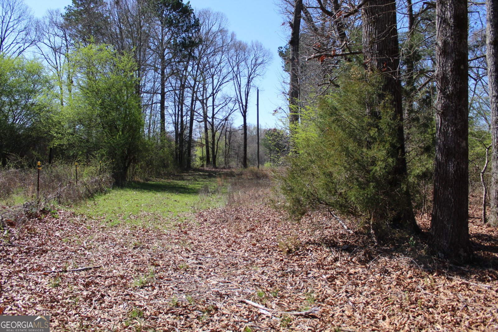 2018 Ben Johnson Road Bethlehem - 14