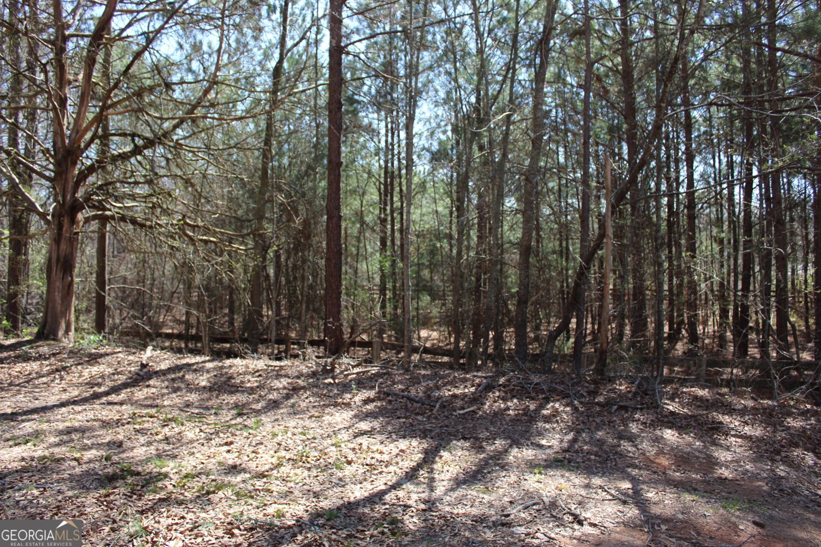 2018 Ben Johnson Road Bethlehem - 15
