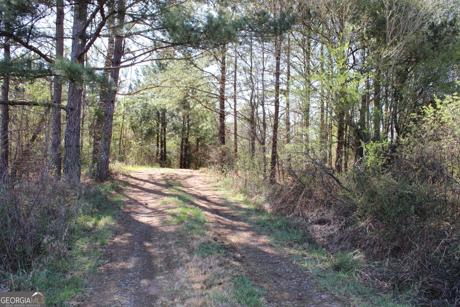 2018 Ben Johnson Road Bethlehem - 16