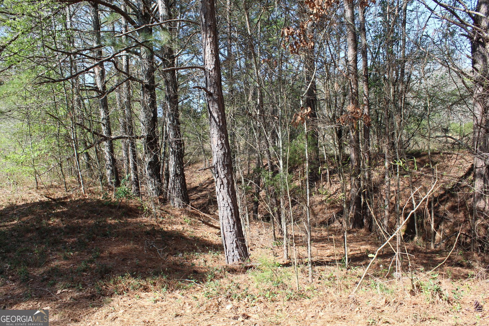 2018 Ben Johnson Road Bethlehem - 25