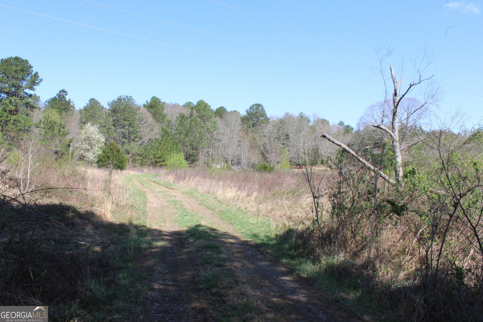 2018 Ben Johnson Road Bethlehem - 27