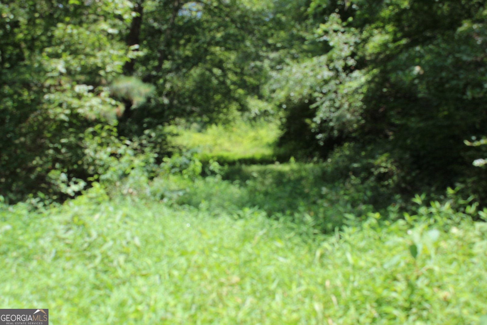 2018 Ben Johnson Road Bethlehem - 30