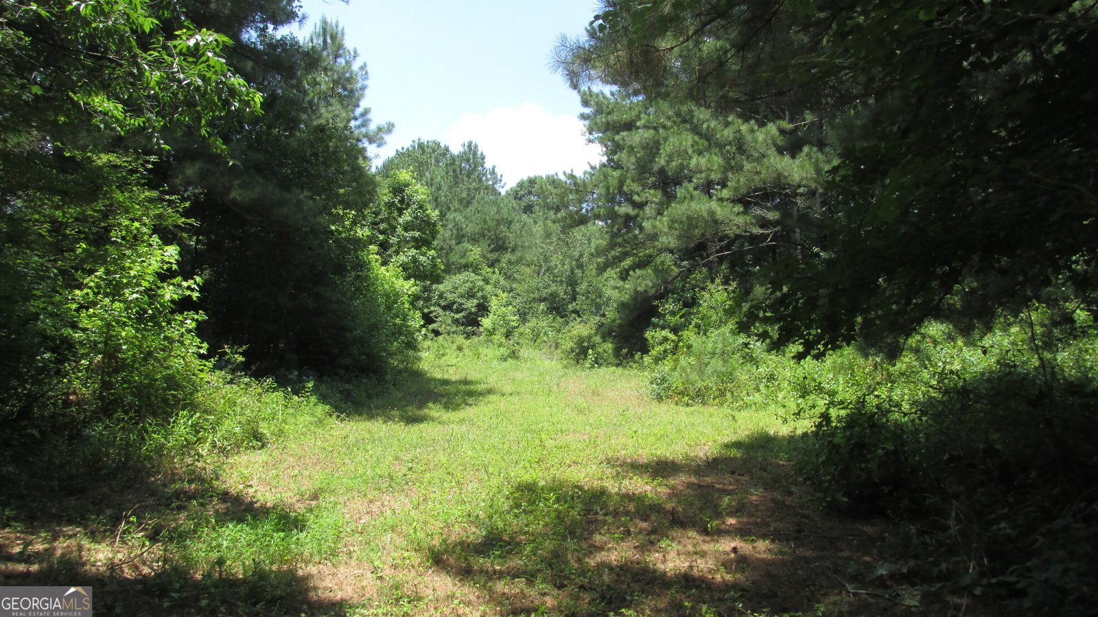 2018 Ben Johnson Road Bethlehem - 37