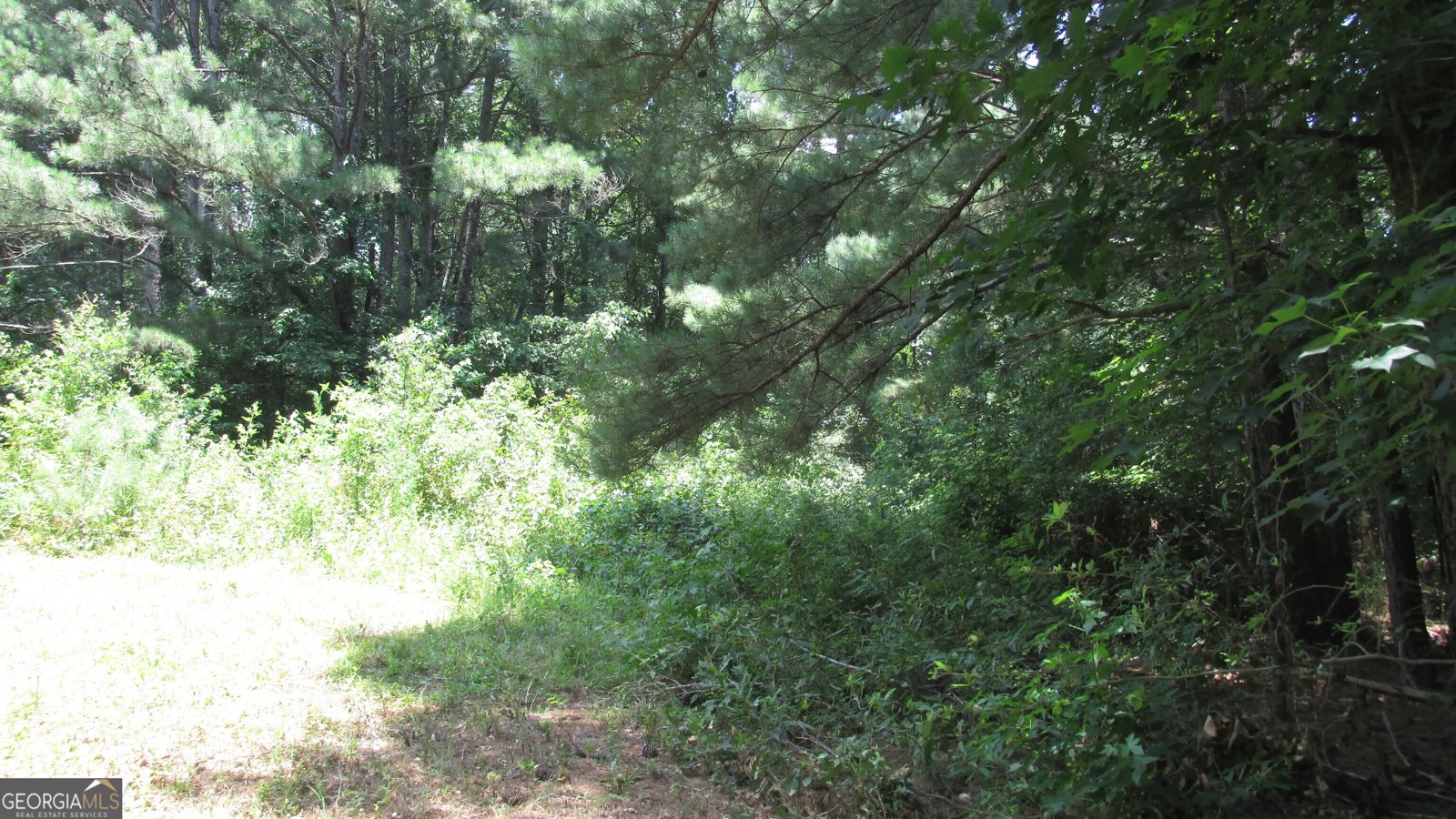 2018 Ben Johnson Road Bethlehem - 38