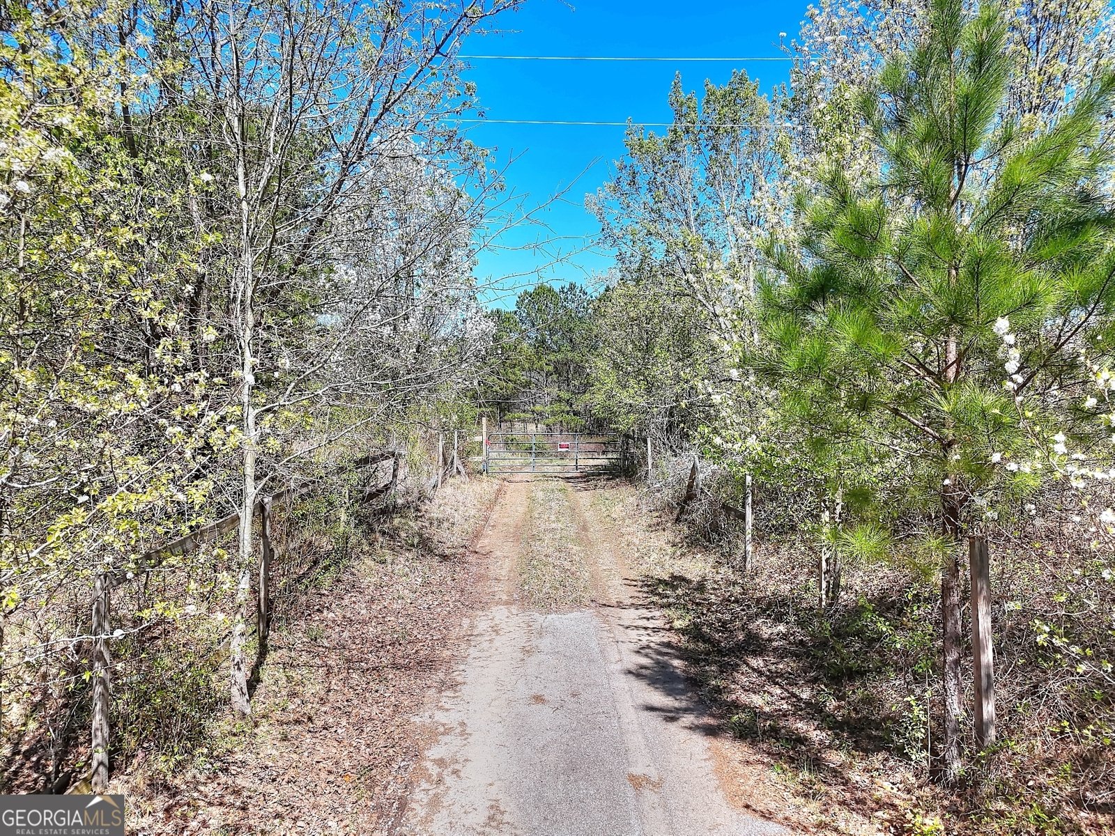 2018 Ben Johnson Road Bethlehem - 4