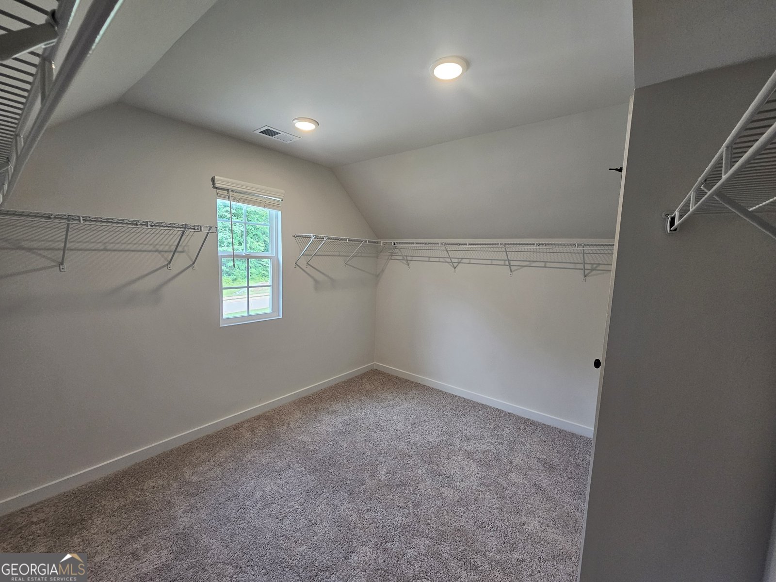 7275 Carruthers Way Dawsonville - 23