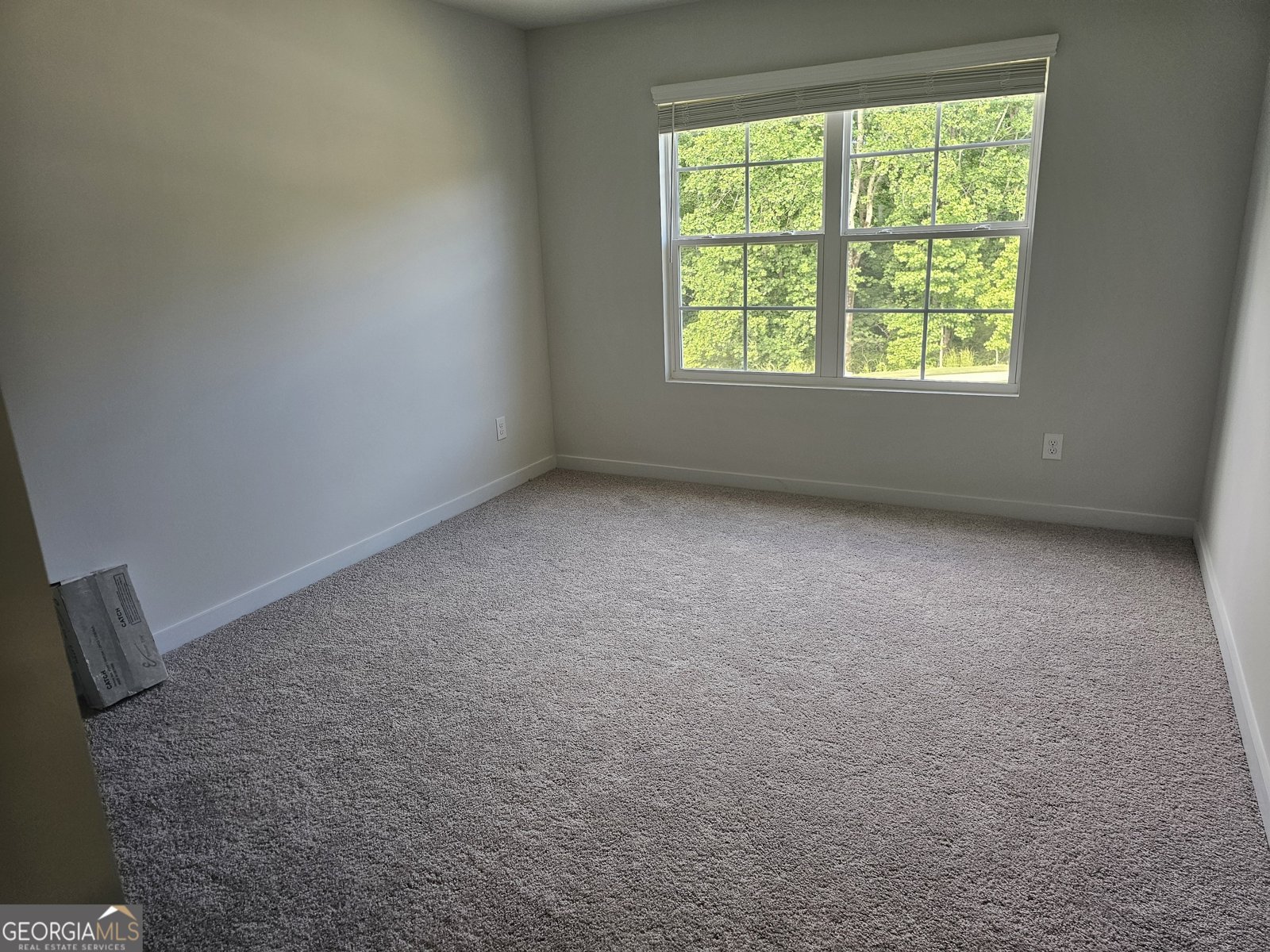 7275 Carruthers Way Dawsonville - 28