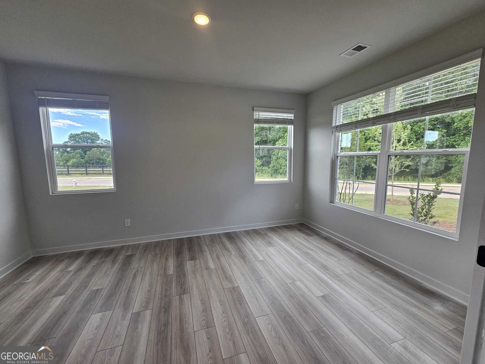 7275 Carruthers Way Dawsonville - 4