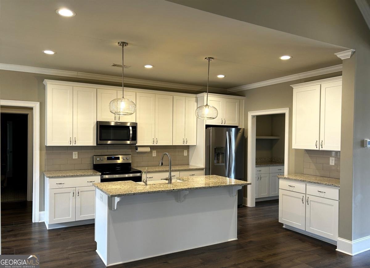 1091 Osprey Lane Greensboro - 20