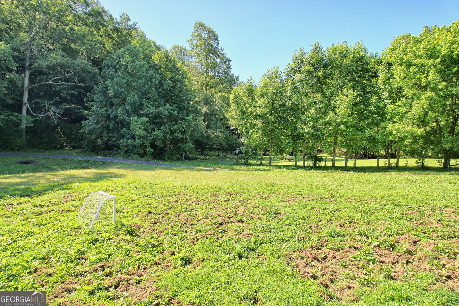 1068 Coleman River Road Clayton - 5