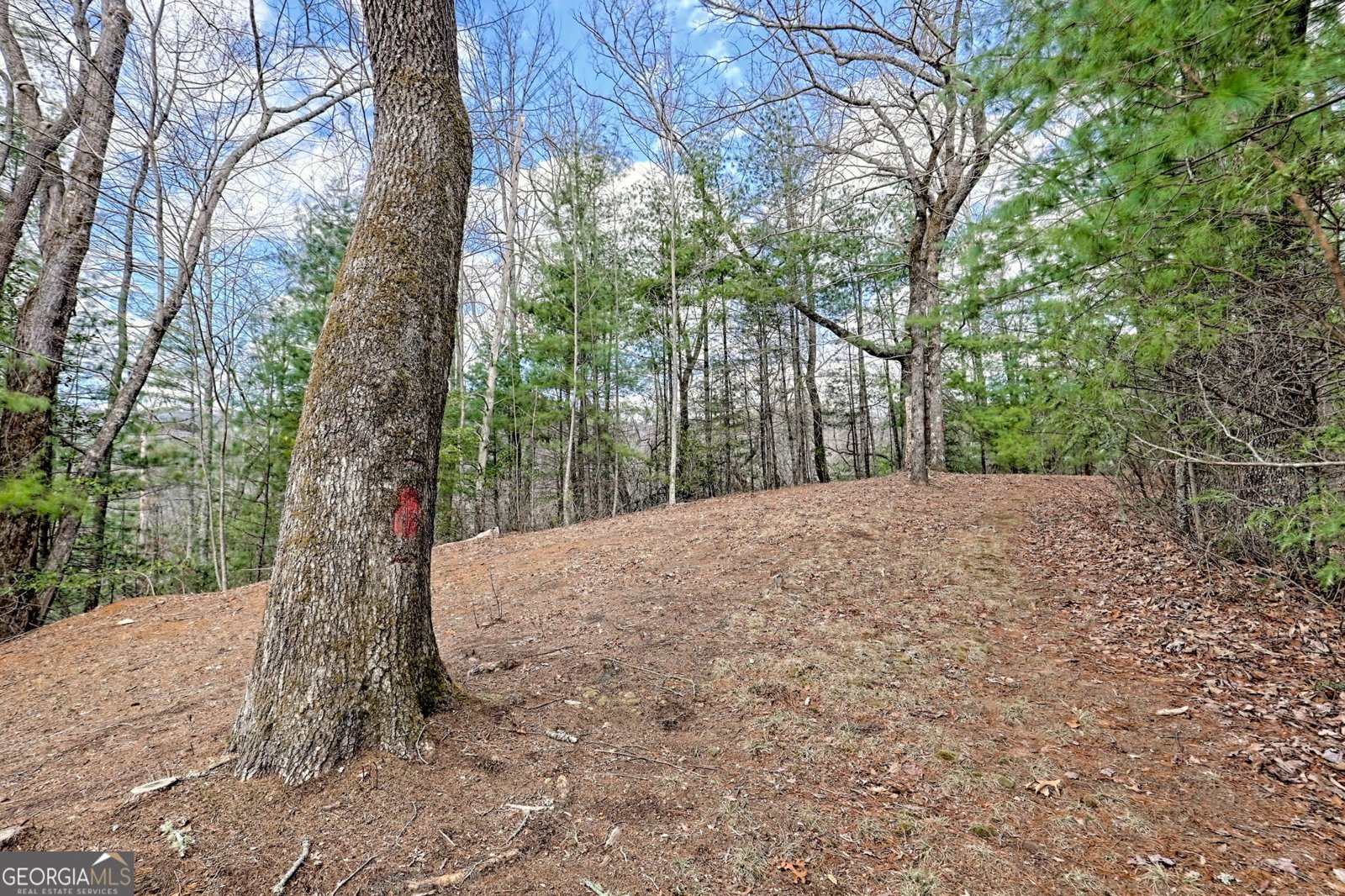 1068 Coleman River Road Clayton - 65